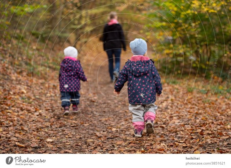 Family outing / forest walk in autumn Autumn Mother Daughter Son mama twins Child Park Forest Trip Nature people persons People Woman fun youthful Love Going