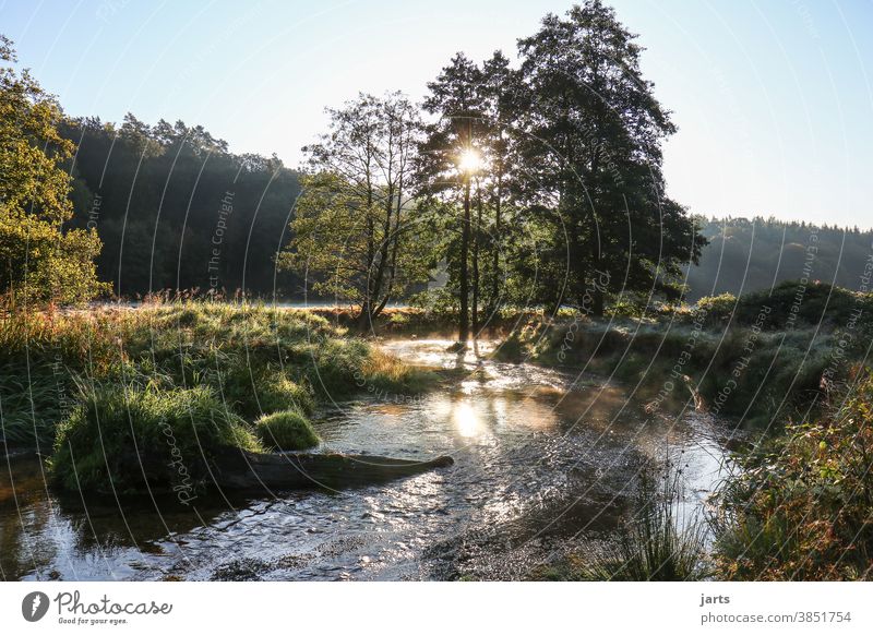 Course of the stream at sunrise Brook bachlauf Landscape Sunrise Sunlight trees Idyll Nature Exterior shot Deserted Colour photo Environment Beautiful weather