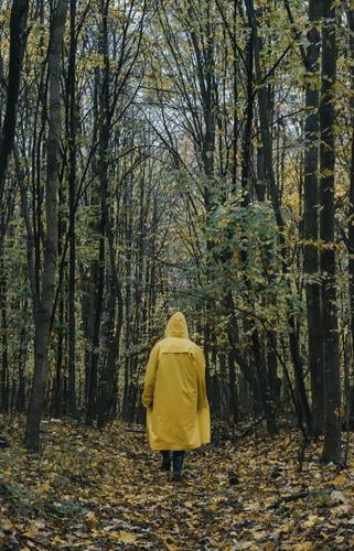 A guy in a yellow jacket walking in the forest in autumn season. Forest Walking Guy Trees Jacket Yellow Moody Dark Nature Rain jacket