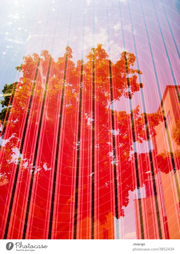 ||| Stripe Red Abstract Tree Sky Beautiful weather Reflection House (Residential Structure) Pane optical illusion