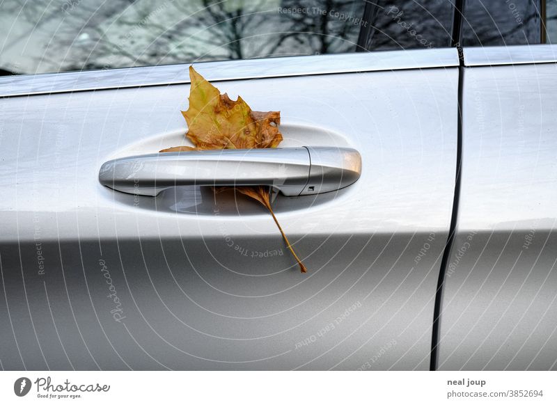 Autumn leaf on car door - detail Car Means of transport door handle Leaf foliage Contrast Poetic travel In transit Yellow Silver Transience Seasons Close-up