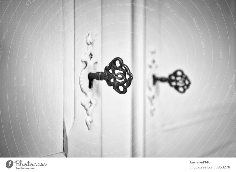 Old vintage doors with antique skeleton keys in lock, retro background texture black and white old open metal ornate security design house steel isolated secret