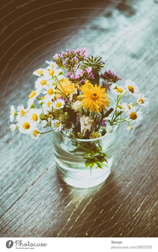 Flowers in a jar Bouquet Glass Daisy meadow flowers Table Blossom Spring Vase Colour photo Blossoming Decoration Plant Nature Deserted Day