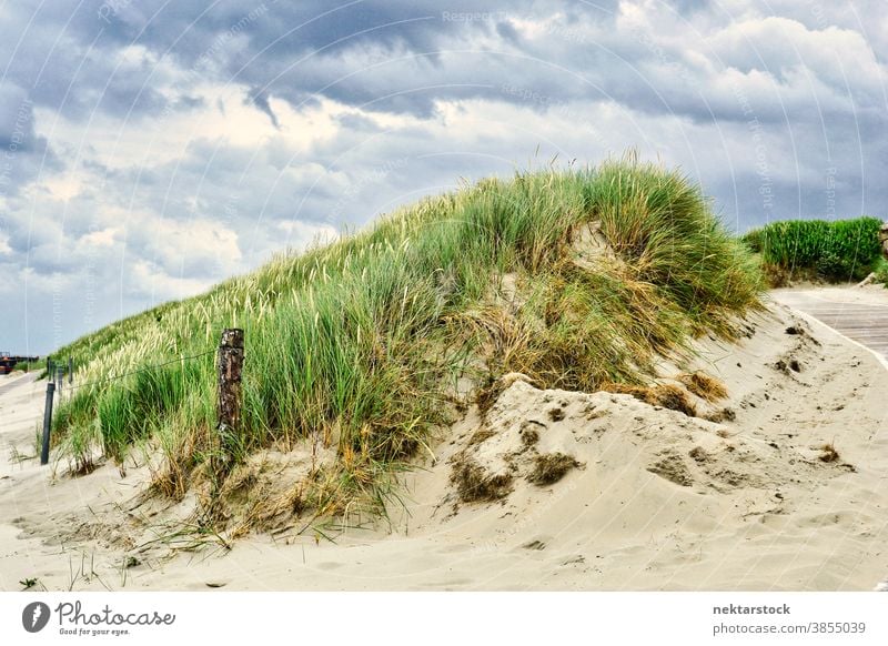 Sand Dune with Beach Grass and Overcast Sky dune sand beach grass marram grass nature landscape plant life mound green overcast sky cloudy picturesque
