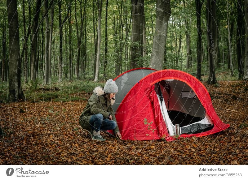 Woman packing tent in forest in autumn camp traveler woman campsite adventure wanderlust woods female fall nature holiday explorer trip tourism tourist freedom