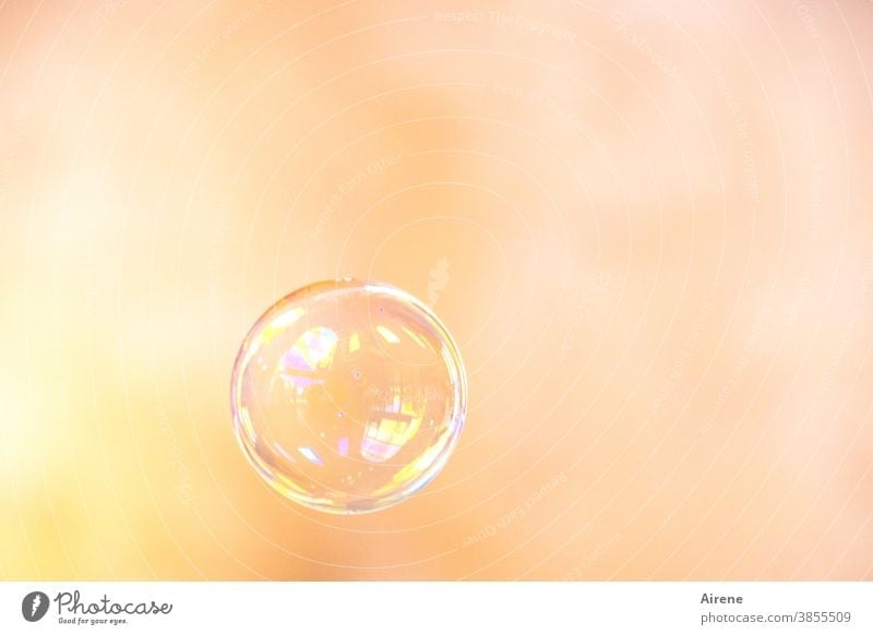 Dream - Wish - Hope... Soap bubble Air bubble Flying Dazzling Easy Glittering Ease Colour Fragile Round Sphere Bubble Esthetic Light (Natural Phenomenon)
