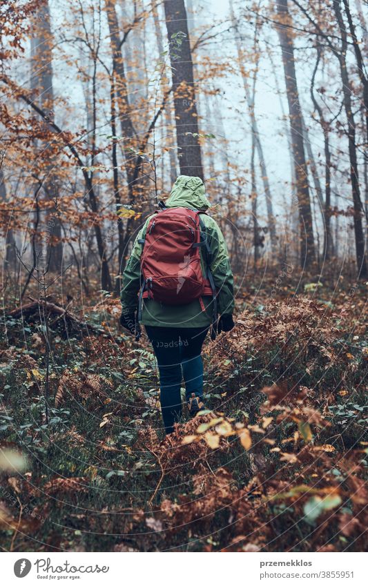 Woman with backpack wandering around a forest on autumn cold day active activity adventure backpacker destination enjoy exploration explore fall female green