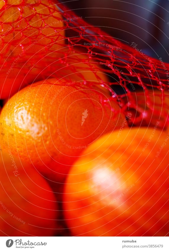 Oranges in the net Net Stripe Striped Detail Day Pattern Colour photo Food Deserted Red eco oranges Healthy fruits vegan salubriously