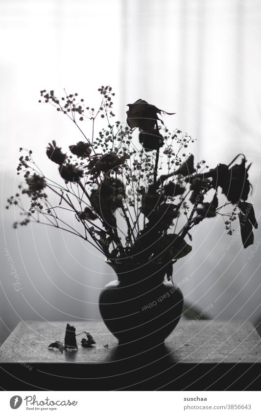 dry bouquet in vase Dried flowers Bouquet Vase Shriveled Still Life Shades of grey Black/White Table Drape Silhouette Light Shadow Flower Interior shot