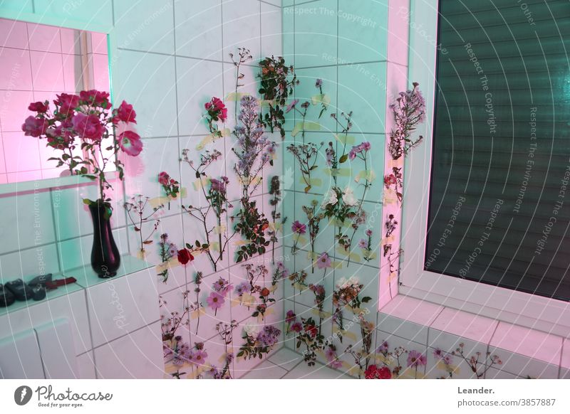 flower bath bath additive Bouquet sureal Surrealism variegated colourful Creativity Art Bathtub bathroom Wall (building) Pink Magenta Green tiles