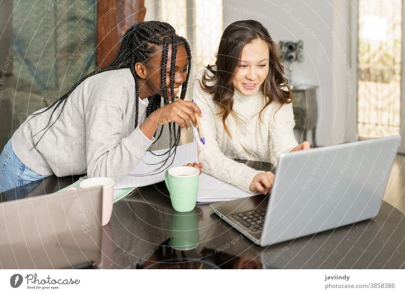 Two college girls studying together at home with laptops while drinking coffee student women multiethnic computer multiracial house black afro lifestyle two