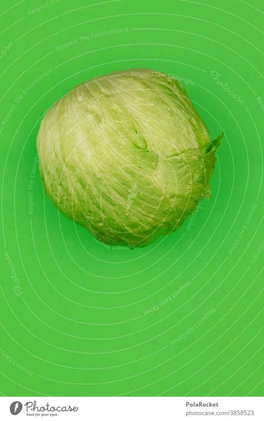 #A0# SaladGreen Lettuce head of lettuce Vegetarian diet salad leaves