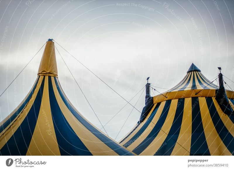 Circus tents Tent Colour photo Sky Fairs & Carnivals Detail Entertainment Shows Exterior shot Event Leisure and hobbies Culture Clouds Yellow Roof Stripe