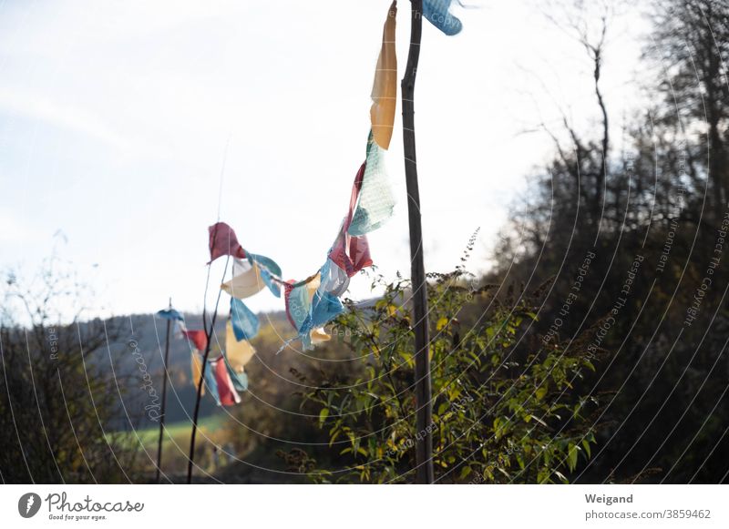 prayer flags Prayer flags spiritually Garden plot Flagpole variegated multicultural Multicultural Difference