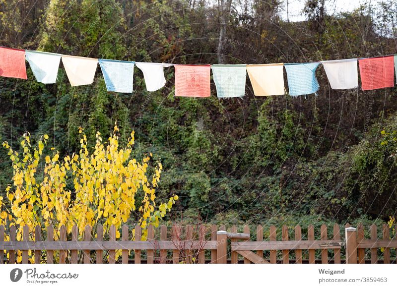 Prayer flags in the allotment garden Garden plot square variegated pray Fence petty bourgeois Border Nature Garden allotments Real estate Exterior shot Green