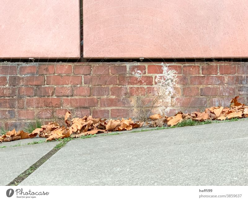 Autumn foliage on a sloping wer in front of a brick wall Autumn leaves Autumnal colours Leaf Autumnal weather autumnal colours naturally Autumnal landscape