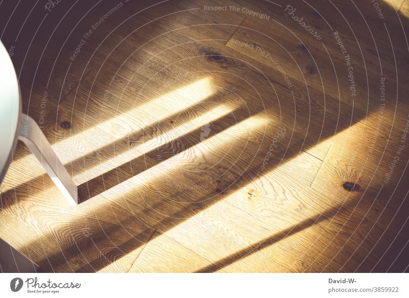 Shadows and light on wooden floor Light Wood Parquet floor Sun Warmth Sunbeam Table dwell Illuminate Pattern Sunlight Structures and shapes