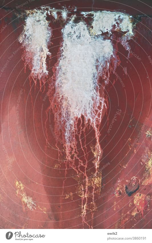 Torment Metal Schlieren Jellyfish nettle threads Abstract reddishly Exterior shot Detail dissolving Whimsical Elegant Crazy Close-up Pattern