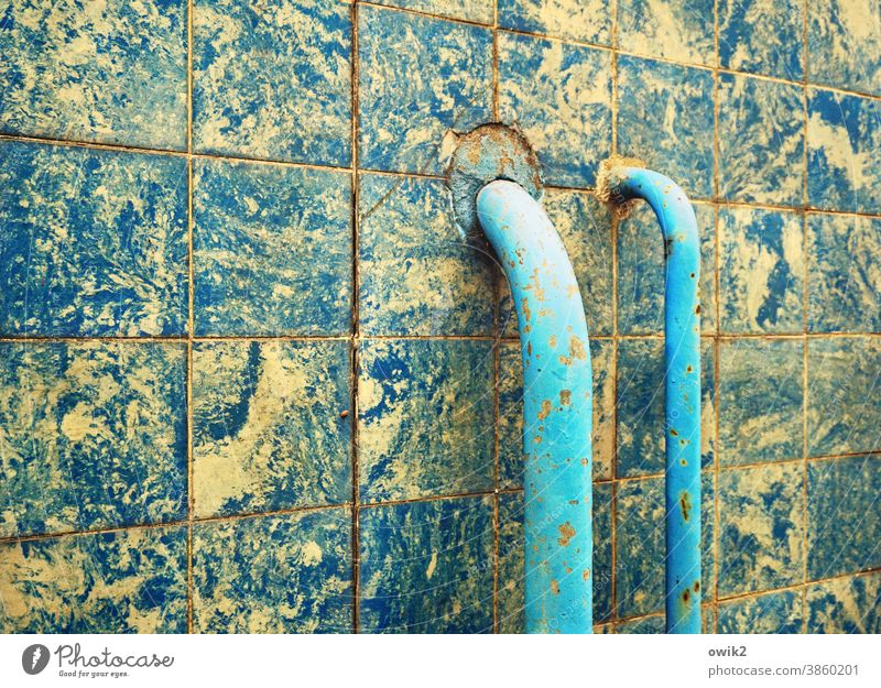 Grown reeds Wall (building) Turquoise Blue tiles two Firm Drainage Agreed Tile Deserted Exterior shot Colour photo daylight Copy Space top Copy Space left