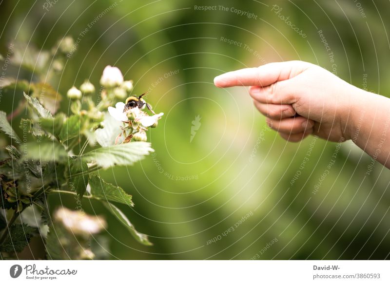 a child points with the finger at a bumblebee on a flower and the bumblebee points back Child Discover Garden Insect Bumble bee Flower Environment explore Cute