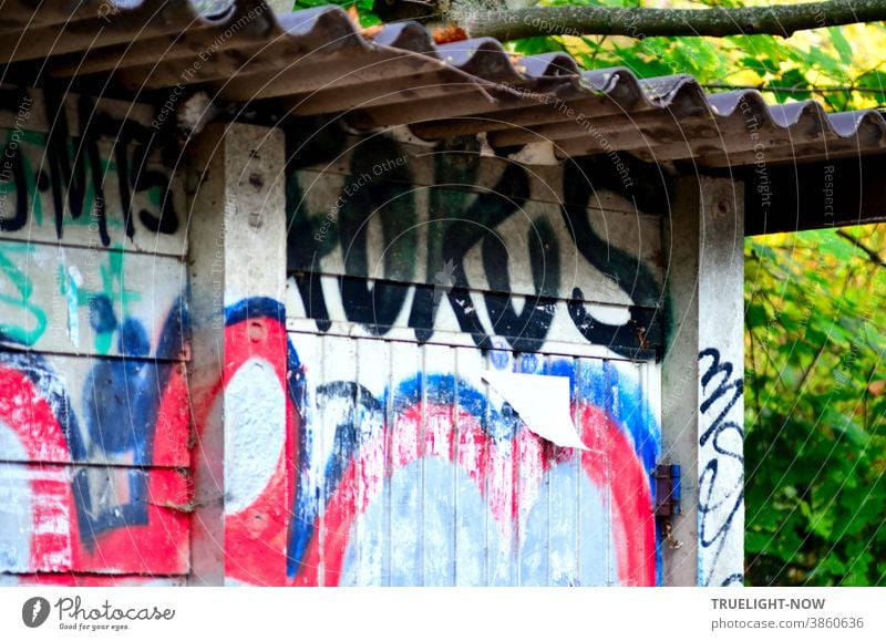 Art in construction | in focus. Concrete hut with corrugated iron roof on the railway embankment, smeared blue and red graffiti, large and bold the word FOCUS, a half torn off piece of paper and next to the building green bushes and a few branches