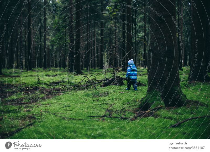 Toddler in the big forest Forest Coniferous trees Coniferous forest Moss Carpet of moss Walking Playing Discover Exterior shot Tree Colour photo Landscape