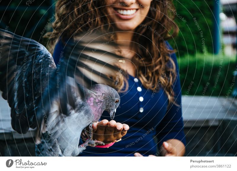 A smiling woman feeding a pigeon from her hand dove bird animal food arm background beautiful eat female freedom love nature outdoor wings fly care day fun
