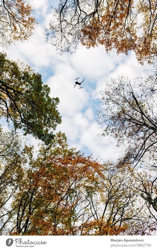 Drone flying over the forest in autumn time adventure aerial air background beautiful blue branch bright cloud clouds colorful day drone environment explore