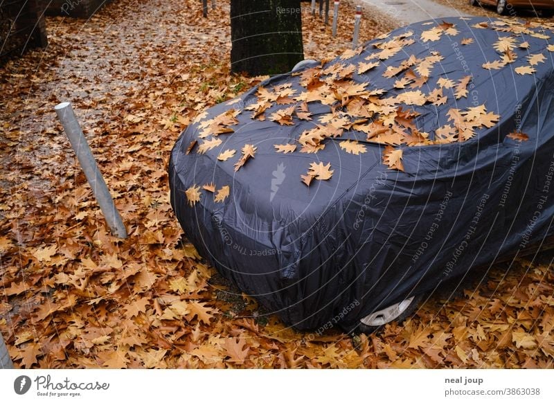 Car under tarpaulin, covered with autumn leaves Autumn Season foliage Parking tranquillity Sleep Sheath Hiding place Camouflage Dark Black Brown Wait Transience