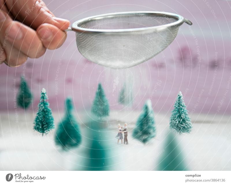 Ice dance in icing sugar snow Confectioner`s sugar Sugar Dance ice dance Forest Winter Winter vacation Fir tree Christmas tree Decoration Small Miniature