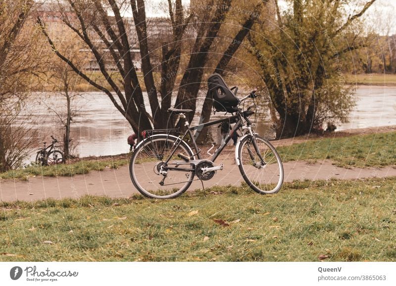 Bicycles on the banks of the Elbe in Dresden Cycling Child seat Transport Exterior shot Lanes & trails Road traffic Leisure and hobbies Movement Cycle path