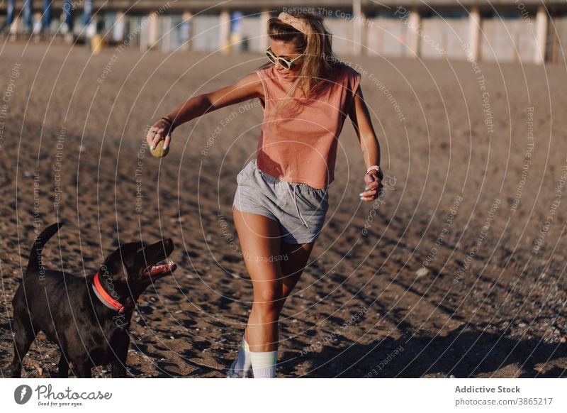 Woman playing with dog on beach woman run summer playful game labrador retriever owner female ball toy canine sand activity active energy dynamic motion nature