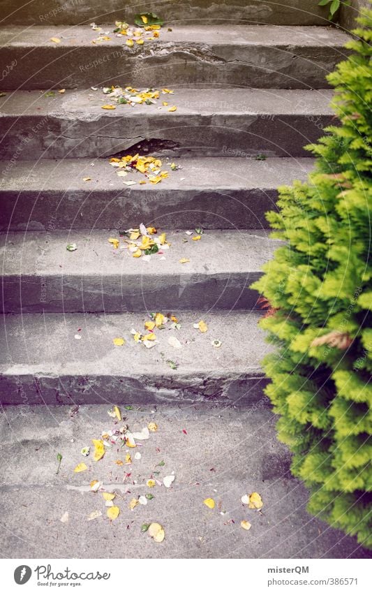 Proof of Happiness I Art Esthetic Contentment Wedding Wedding ceremony Wedding party Stairs Rose leaves Decoration Colour photo Subdued colour Exterior shot