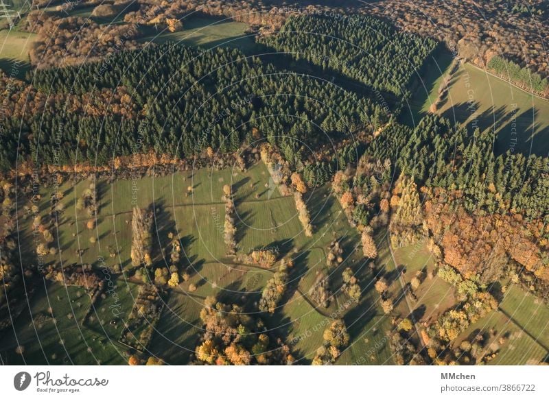 Bird's eye view of meadows and forests from above Forest Meadow Light Shadow Tree Coniferous trees Deciduous tree Bird's-eye view from on high Landscape Autumn