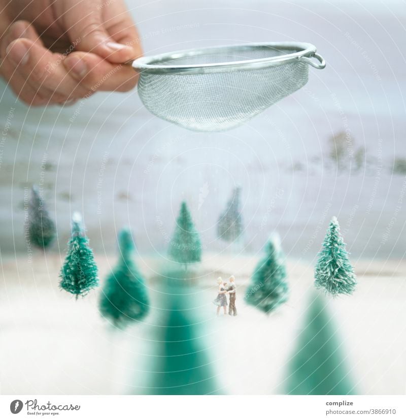 Winter Dance Confectioner`s sugar Sugar ice dance Forest Winter vacation Fir tree Christmas tree Decoration Small Miniature Figures Sieve sieving scatter