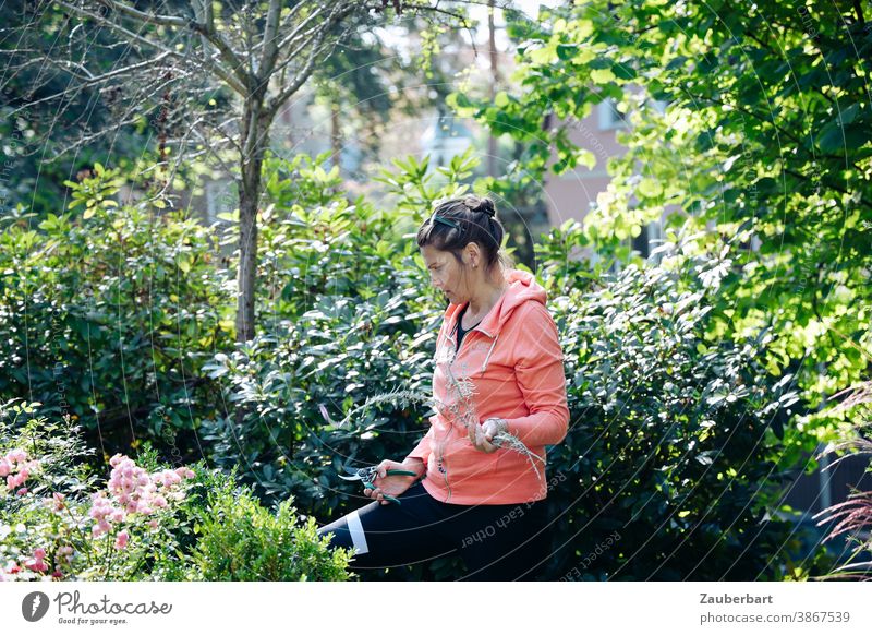 Woman in salmon hoodie cutting roses in garden Garden pruning shears salmon-coloured Pink Gardening Plant pretty Flower Nature Blossoming naturally Green
