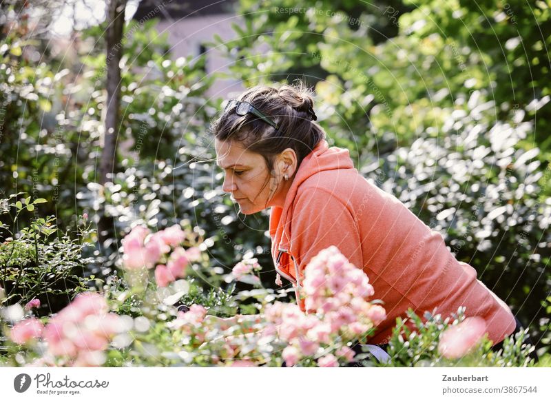 Woman in salmon hoodie cutting roses in garden Garden salmon-coloured Pink Gardening Plant pretty Flower Nature Blossoming naturally