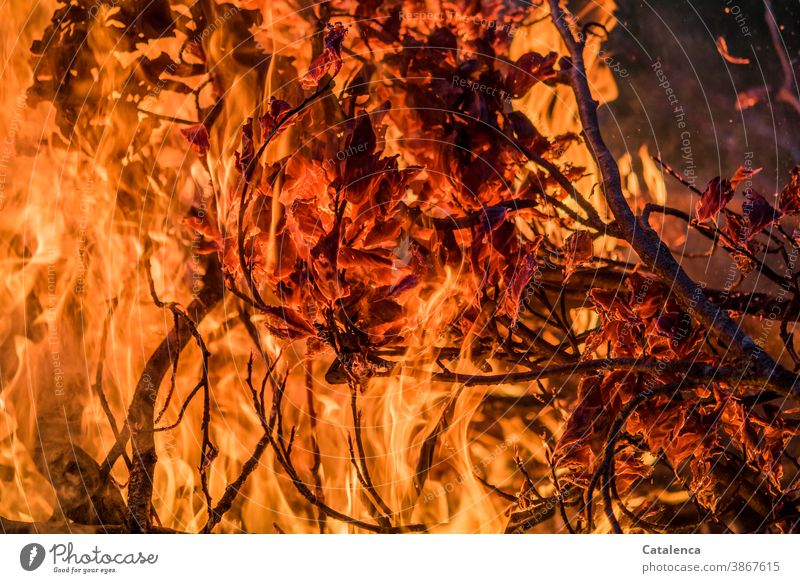 It burns brightly Fireplace Funeral pyre Black Orange Hot Twig leaves ash Primordial element Spark Burn turn up blaze