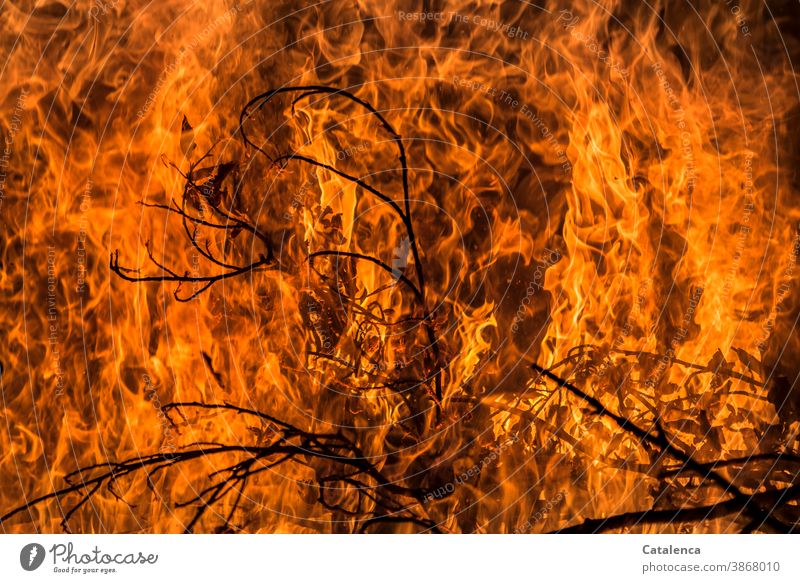 Sea of flames, flames leap up and spread Fire Burn blaze Spark Primordial element Twig Hot Funeral pyre Fireplace Blaze Dangerous ardor peril Orange Yellow