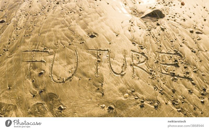Future Written in Golden Sand future sand word day beach writing written natural lighting outdoor sunny concept English no people nobody conceptual sign symbol