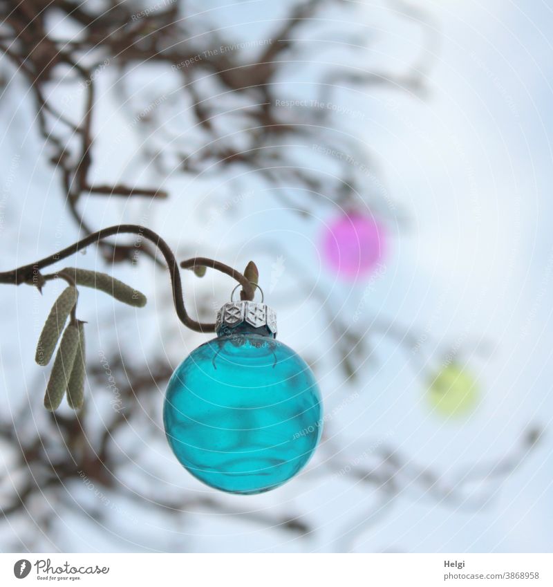 blue glass ball hanging from a bare branch of the corkscrew hazel, in the background two more blurred balls and branches Sphere Glass ball Christmas tree ball