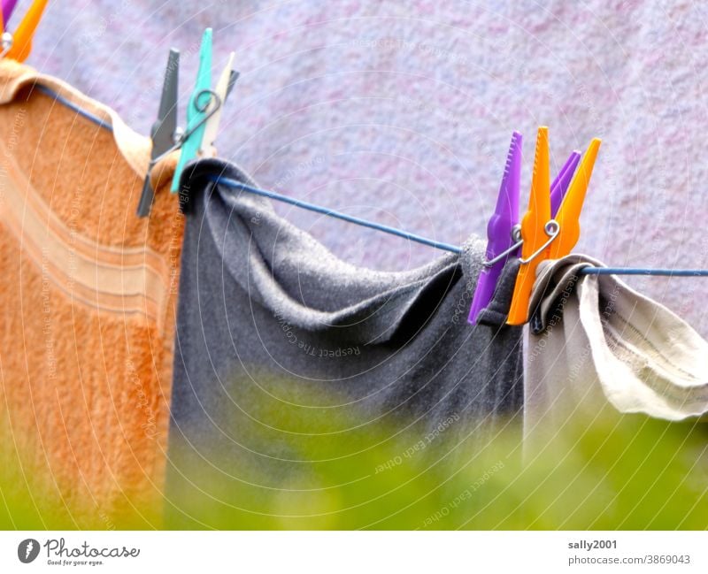 Colour combination... ...on the clothesline... clothespin Laundry Washing day Hang up Dry variegated Towel Towels Household out Hedge Garden Rope neat Fresh