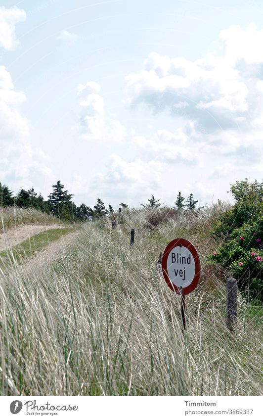 A nice path with a pretty sign Denmark vacation off Signage No through road Deserted Transport Signs and labeling flora Sky Clouds Vacation mood grasses