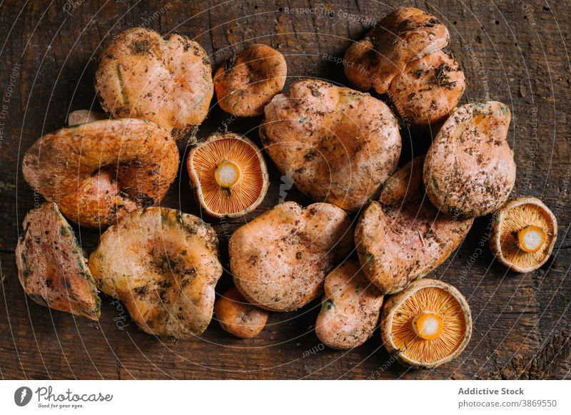Fresh saffron milk cap mushrooms on wooden table saffron milc cap red pine mushroom lactarius deliciosus cep fungus wild edible fresh raw organic food natural