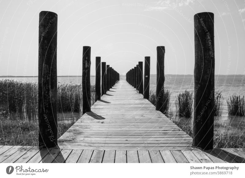 pier Ocean Water Landscape Nature black and white