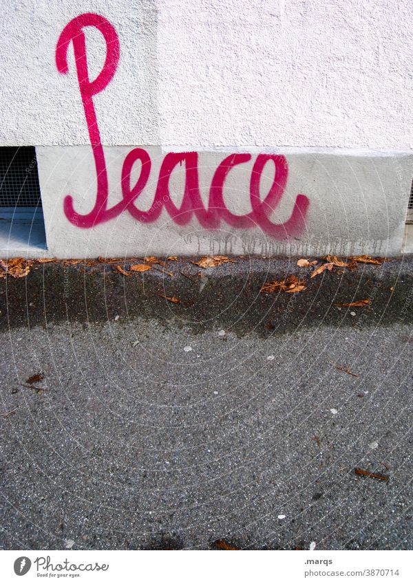 peace Characters Peace Graffiti Wall (building) White Pink Communicate Contentment Reconciliation Typography Hope War Tolerant