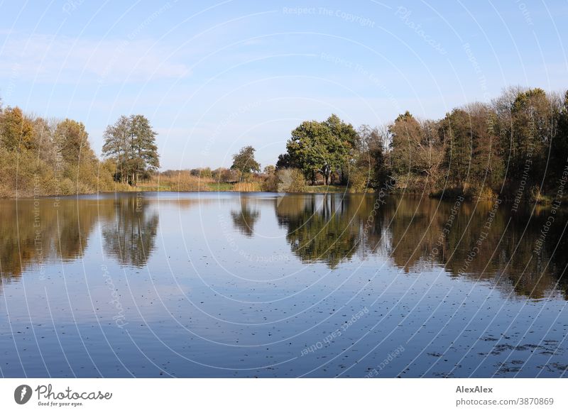 Landscape shot of a quiet lake surrounded by trees and bushes, reflecting the blue sky in autumn Lake Pond shrubber Grass flat country Northern Germany pond