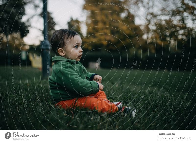 Toddler playing on the grass Authentic Autumn Autumnal Grass Child Park Colour photo Human being Autumnal colours Exterior shot Autumn leaves Playing
