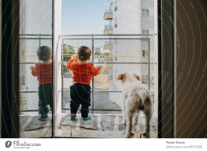 Toddler and dog at the balcony Balcony balconies Dog Pet Together togetherness love caucasian friendship young lifestyle pet casual clothing adorable cute