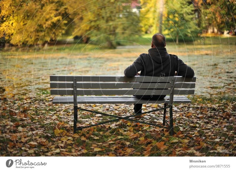 recreation on one's own out Park Lonely tranquillity To enjoy Autumn Lake leaves Autumn leaves Nature Loneliness Autumnal Forest Autumnal colours Man Bench